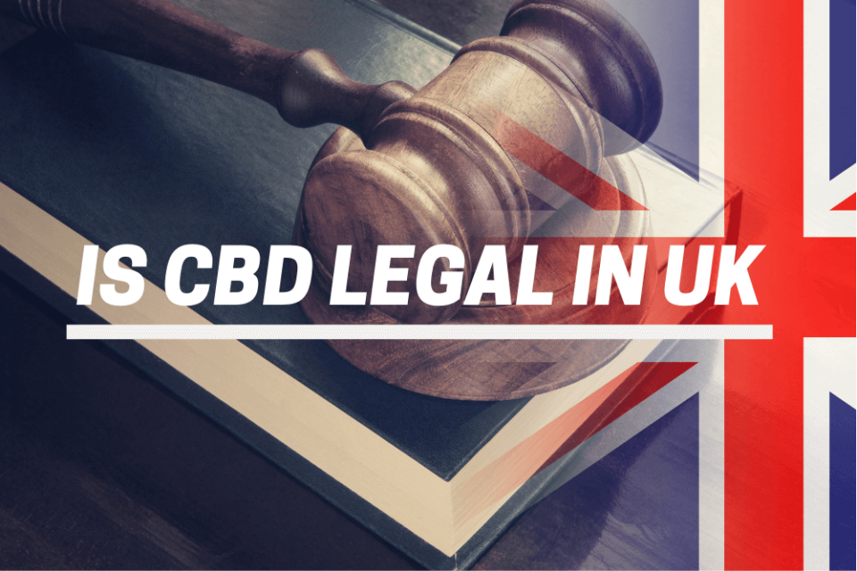 Is CBD legal in Uk?