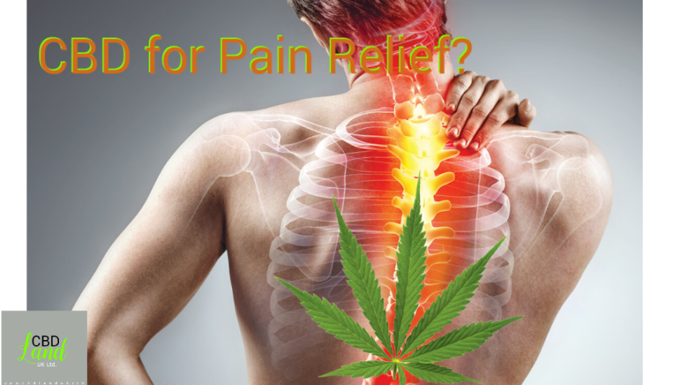 CBD for pain relief