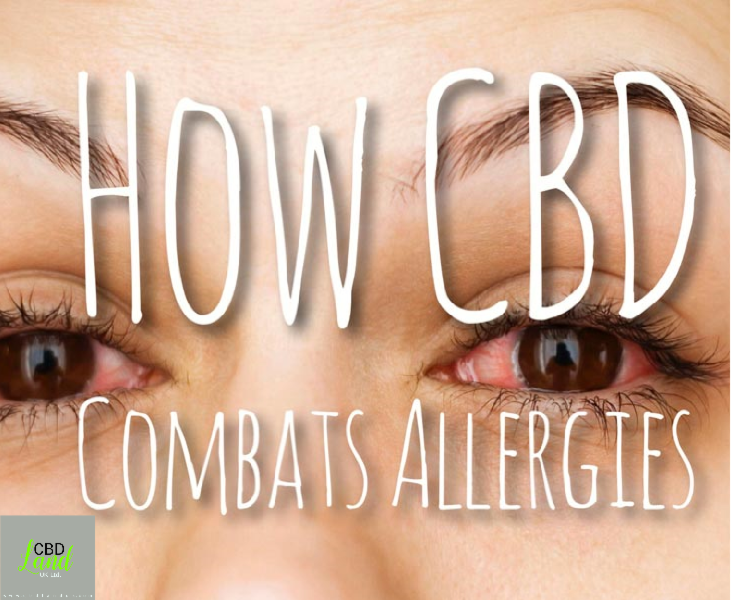 CBD for Allergies