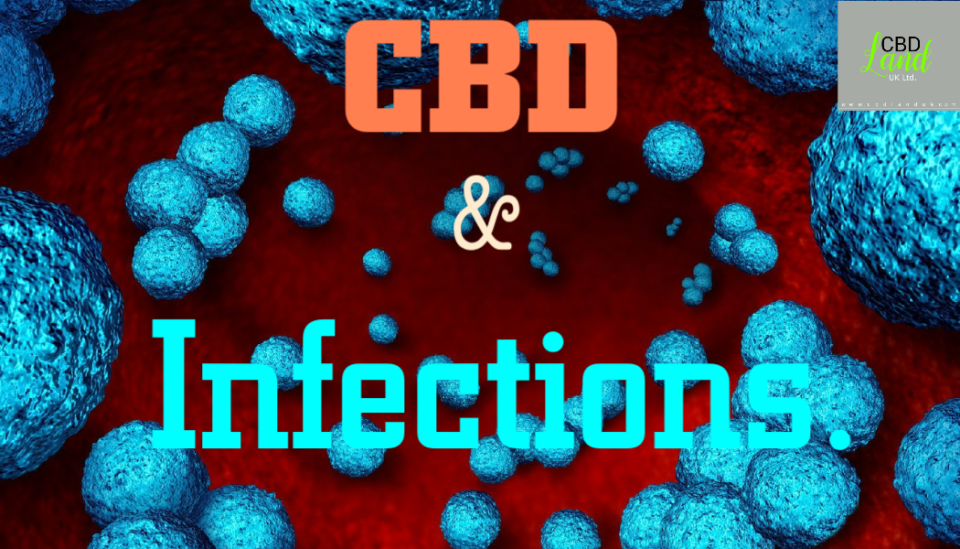 CBD for Infection.