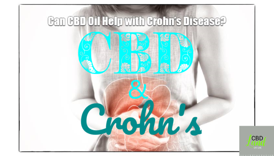 CBD and croh's disease