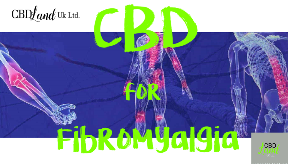 cbd for fibromyalgia