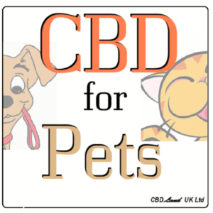 CBD for pets.